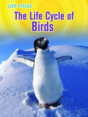 cover image of The Life Cycle of Birds